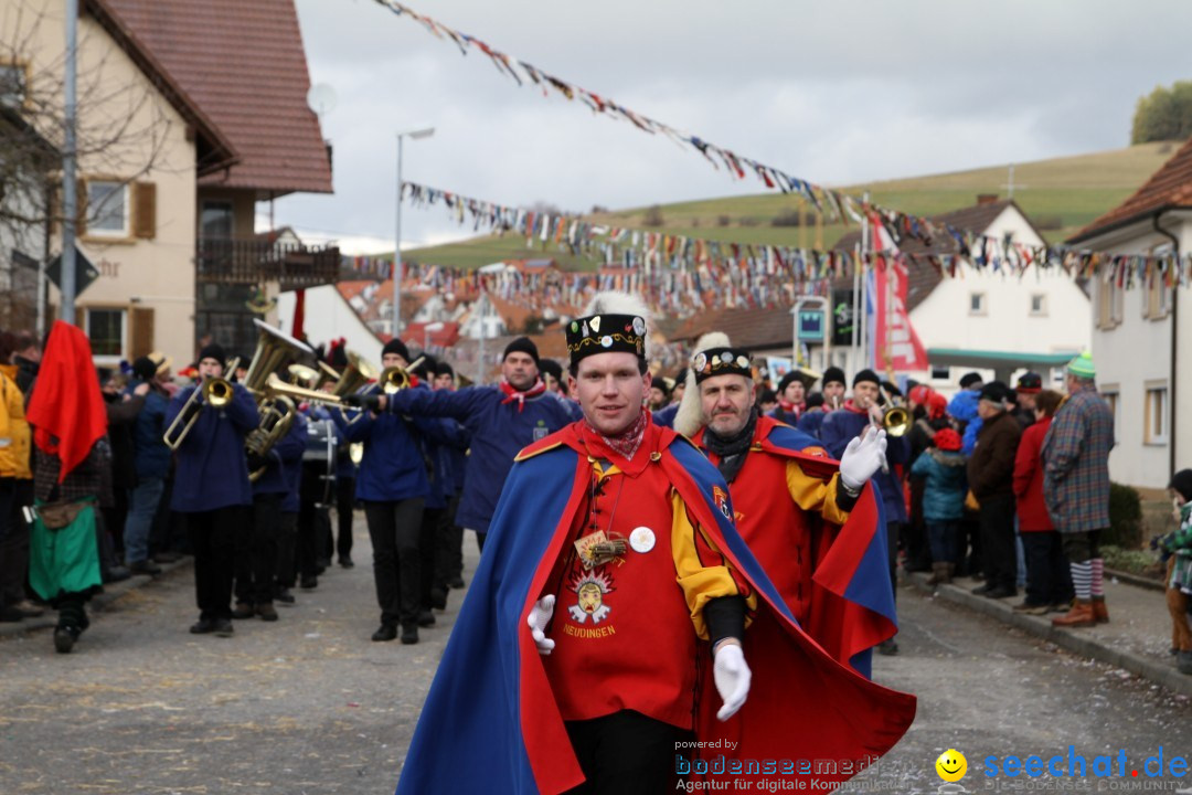 Narrentreffen - NV Kamelia: Tengen am Bodensee, 03.02.2013