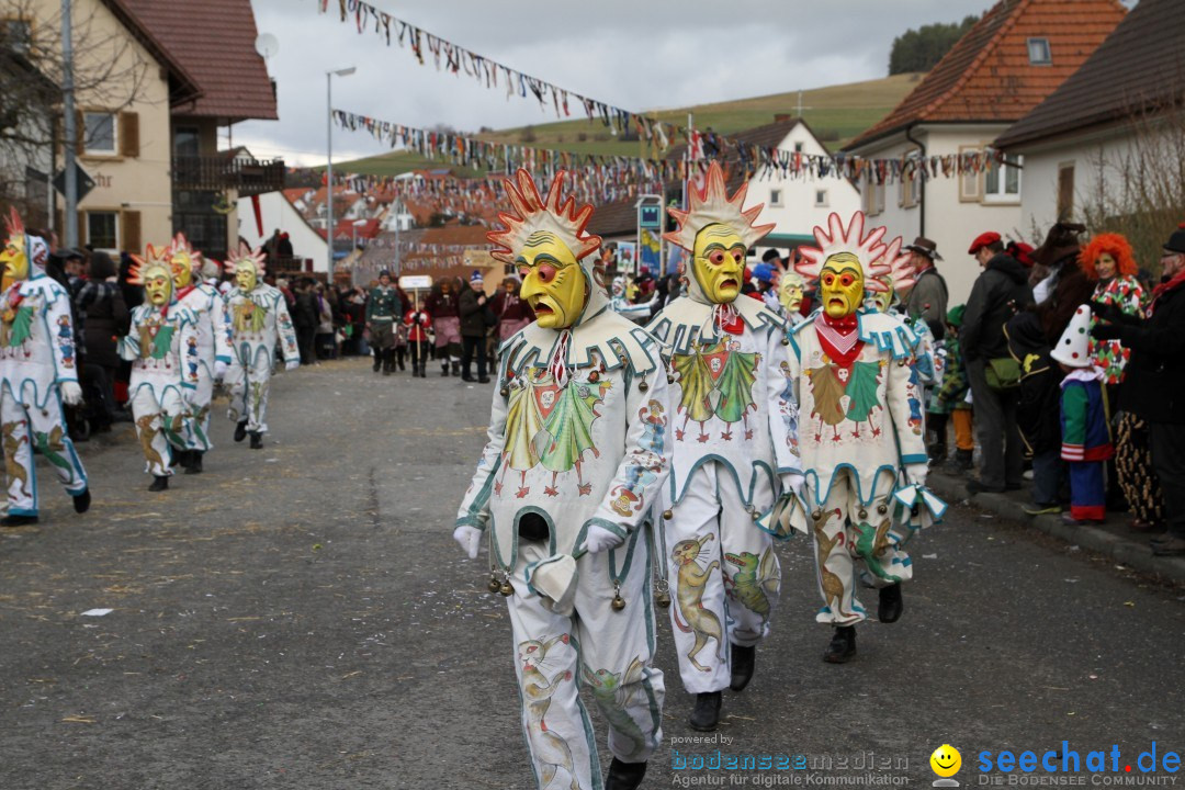 Narrentreffen - NV Kamelia: Tengen am Bodensee, 03.02.2013