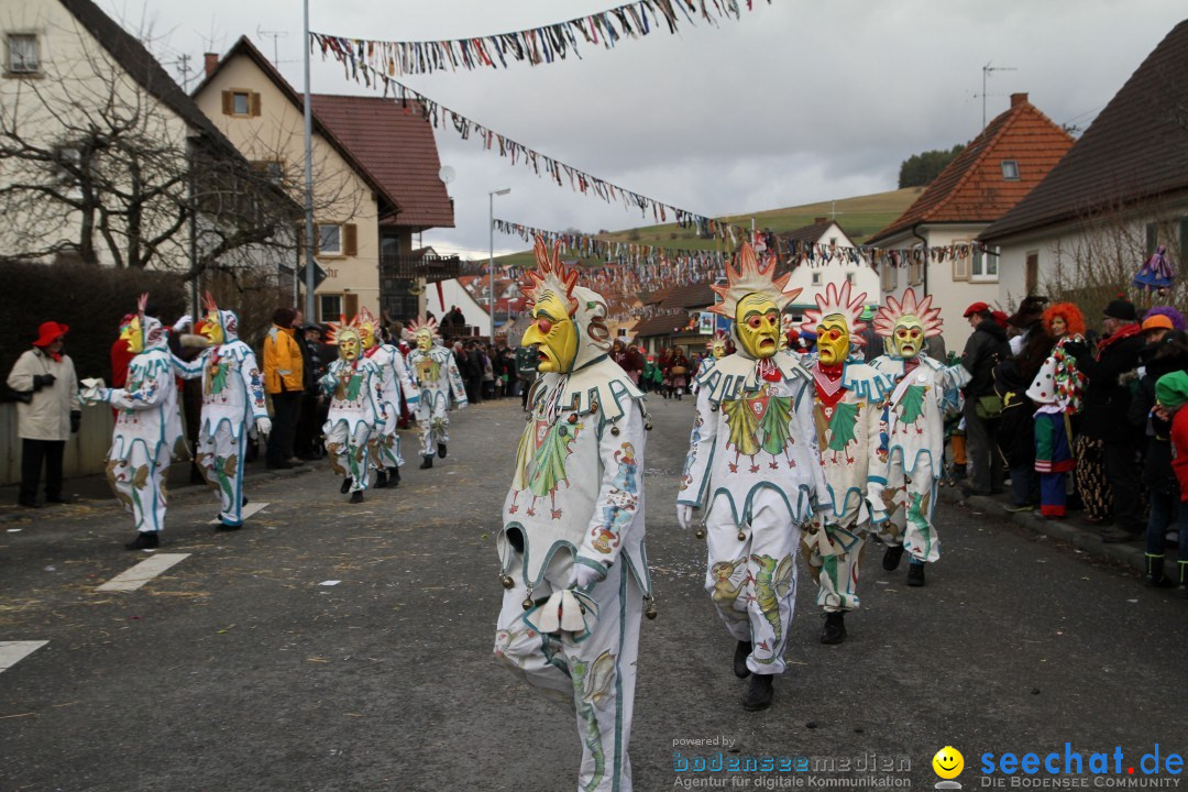 Narrentreffen - NV Kamelia: Tengen am Bodensee, 03.02.2013