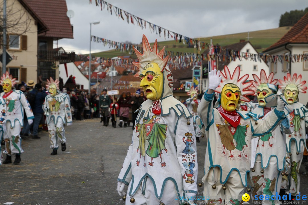 Narrentreffen - NV Kamelia: Tengen am Bodensee, 03.02.2013