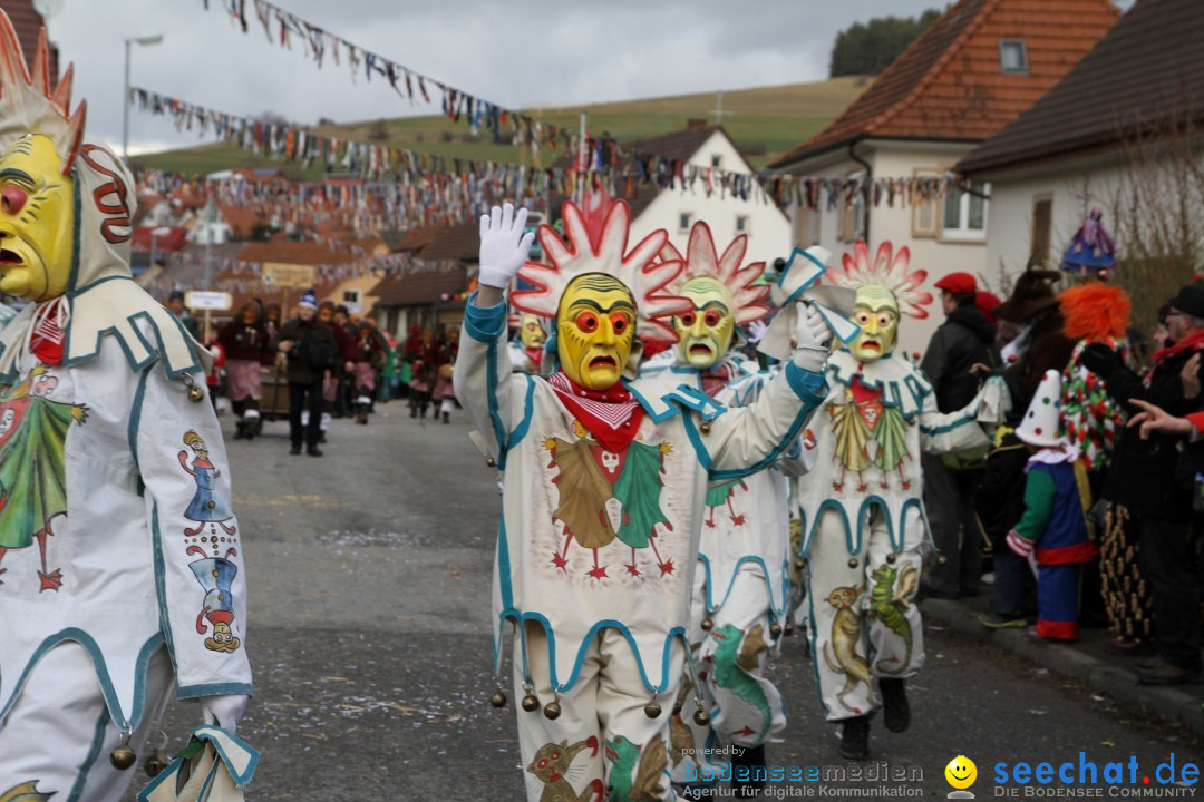 Narrentreffen - NV Kamelia: Tengen am Bodensee, 03.02.2013