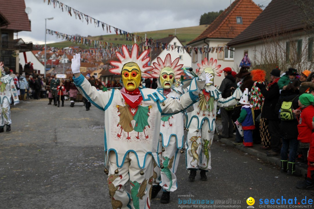 Narrentreffen - NV Kamelia: Tengen am Bodensee, 03.02.2013