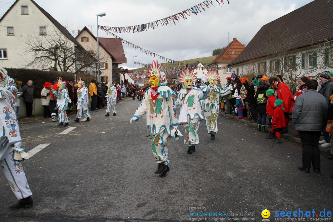 Narrentreffen - NV Kamelia: Tengen am Bodensee, 03.02.2013