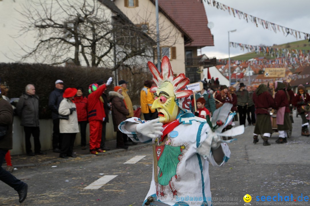 Narrentreffen - NV Kamelia: Tengen am Bodensee, 03.02.2013