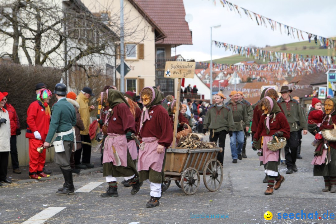 Narrentreffen - NV Kamelia: Tengen am Bodensee, 03.02.2013