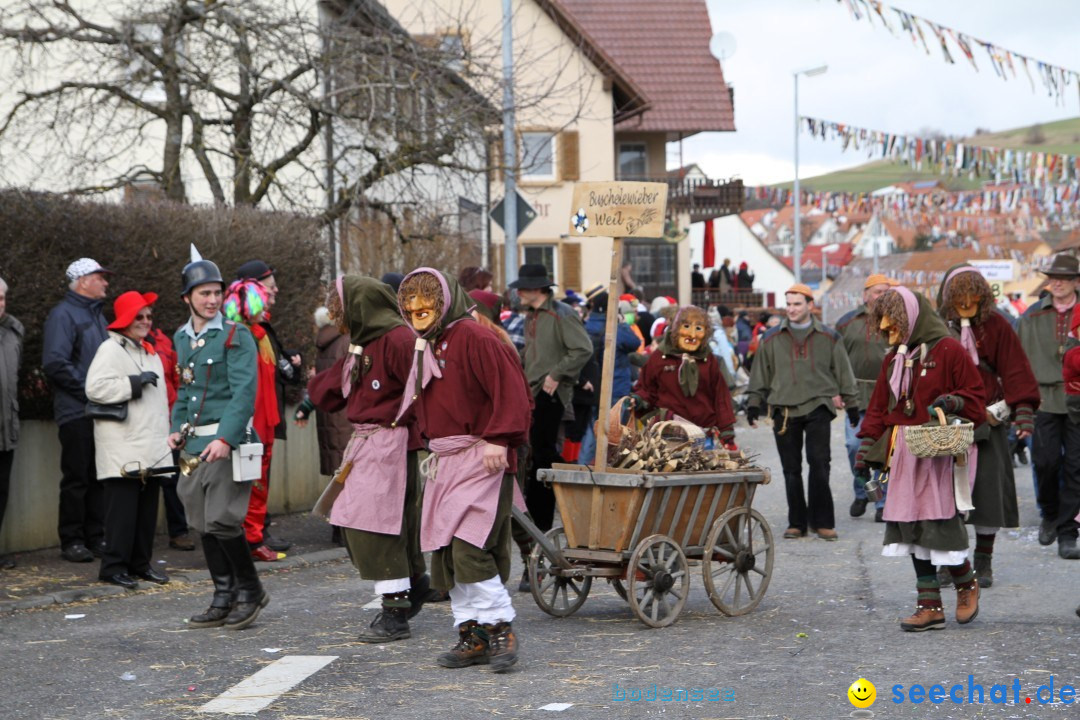 Narrentreffen - NV Kamelia: Tengen am Bodensee, 03.02.2013