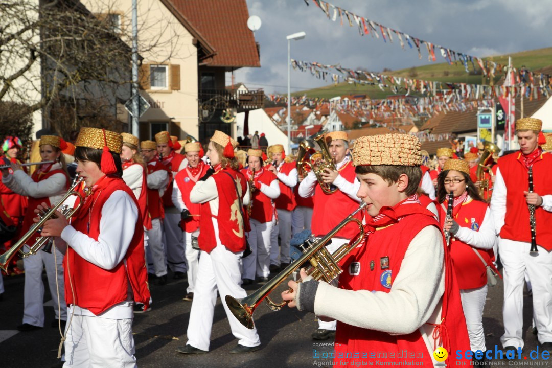 Narrentreffen - NV Kamelia: Tengen am Bodensee, 03.02.2013