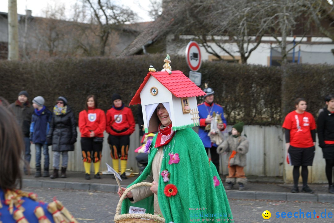 Narrentreffen - NV Kamelia: Tengen am Bodensee, 03.02.2013