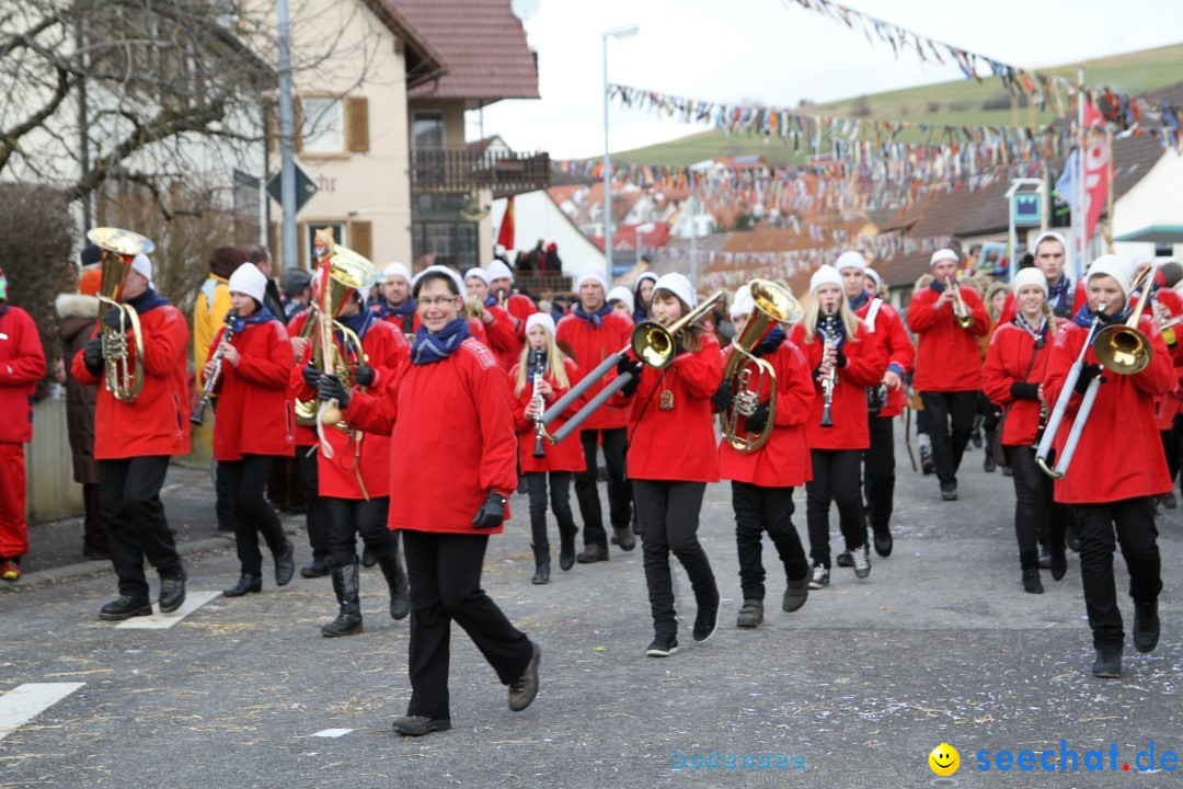 Narrentreffen - NV Kamelia: Tengen am Bodensee, 03.02.2013