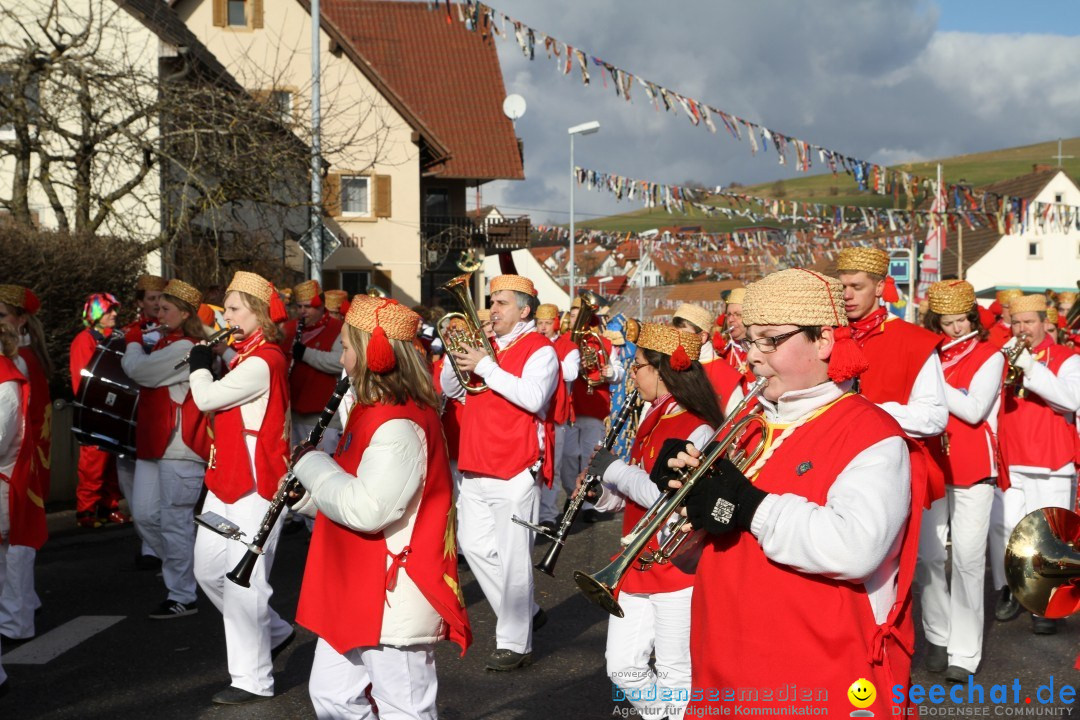 Narrentreffen - NV Kamelia: Tengen am Bodensee, 03.02.2013