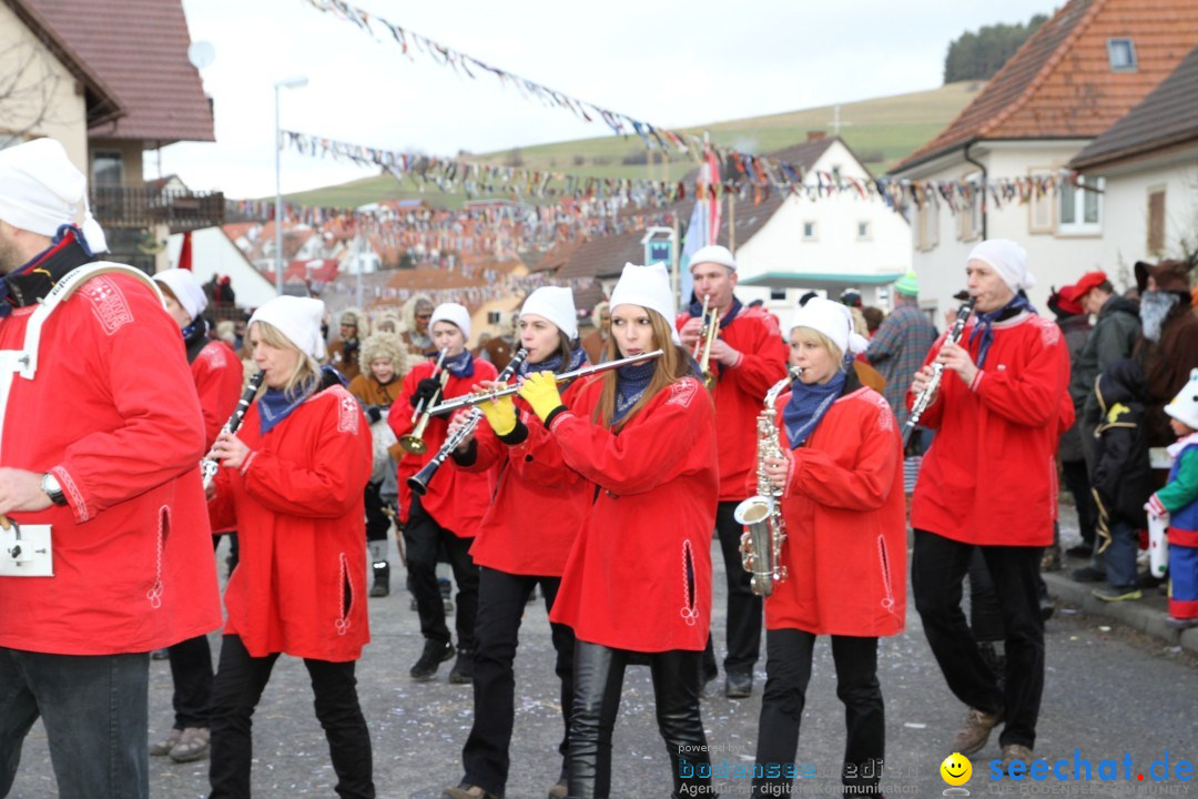 Narrentreffen - NV Kamelia: Tengen am Bodensee, 03.02.2013