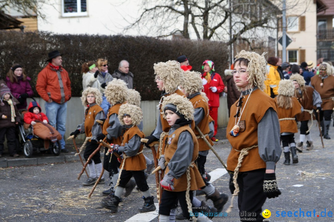 Narrentreffen - NV Kamelia: Tengen am Bodensee, 03.02.2013