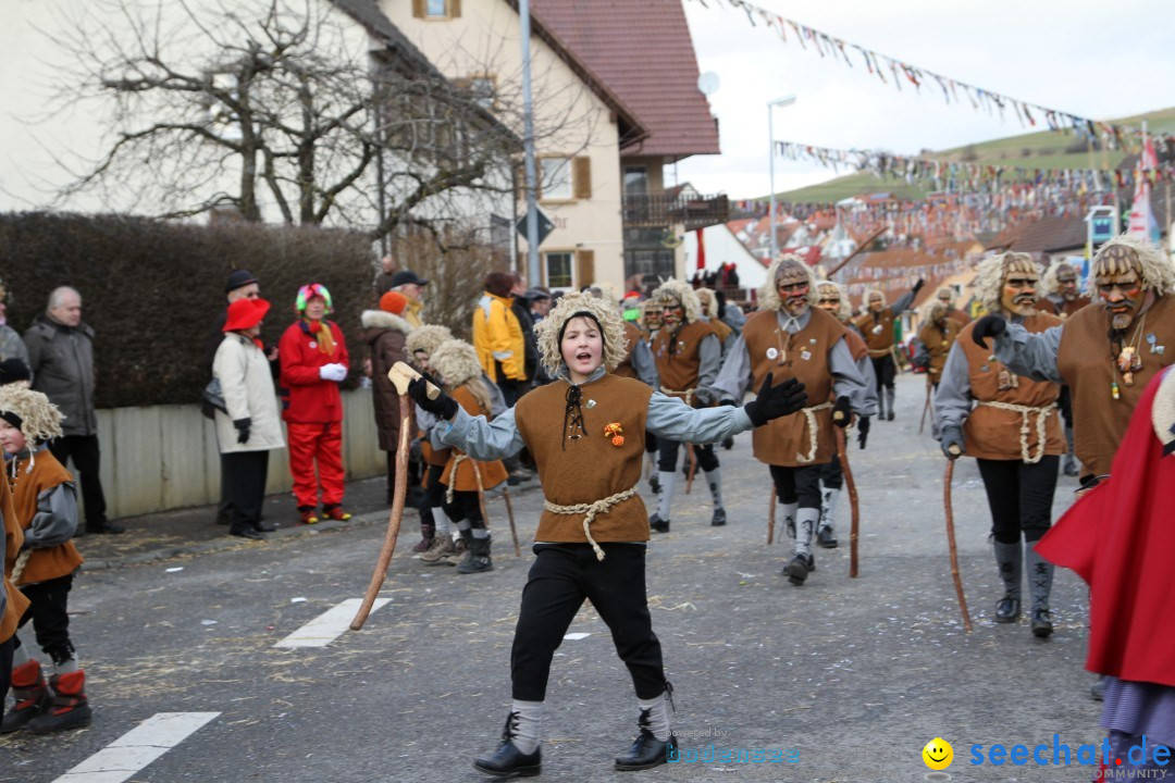 Narrentreffen - NV Kamelia: Tengen am Bodensee, 03.02.2013