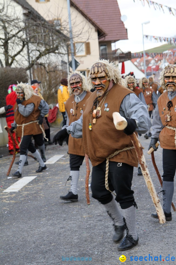 Narrentreffen - NV Kamelia: Tengen am Bodensee, 03.02.2013