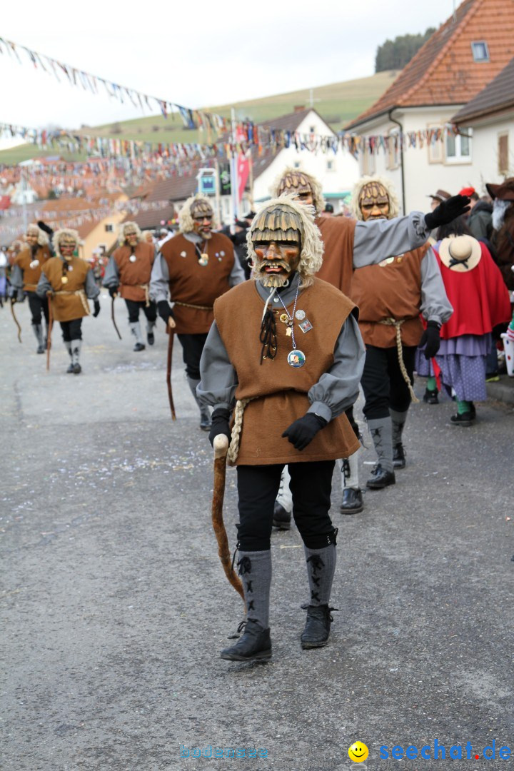 Narrentreffen - NV Kamelia: Tengen am Bodensee, 03.02.2013