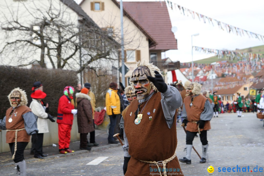 Narrentreffen - NV Kamelia: Tengen am Bodensee, 03.02.2013