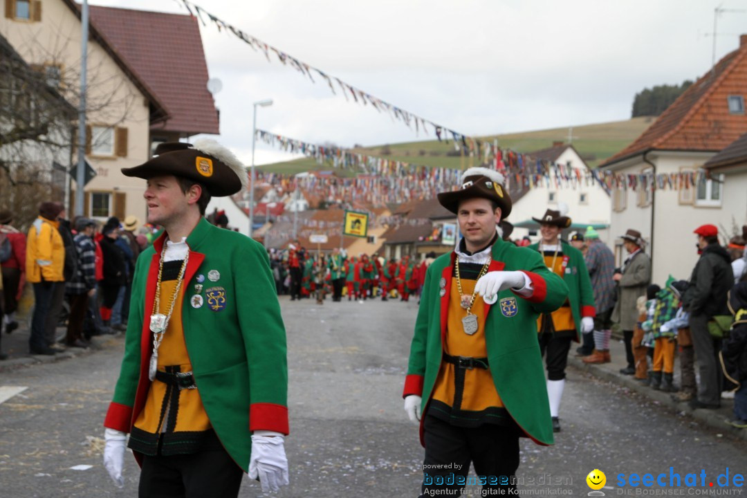 Narrentreffen - NV Kamelia: Tengen am Bodensee, 03.02.2013