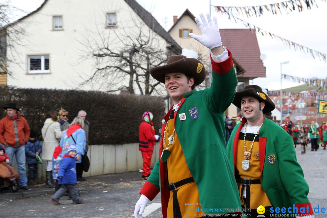 Narrentreffen - NV Kamelia: Tengen am Bodensee, 03.02.2013