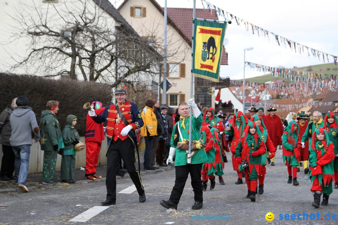 Narrentreffen - NV Kamelia: Tengen am Bodensee, 03.02.2013