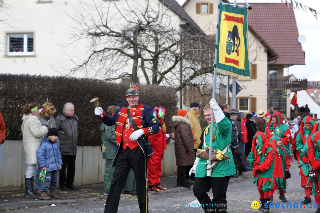 Narrentreffen - NV Kamelia: Tengen am Bodensee, 03.02.2013