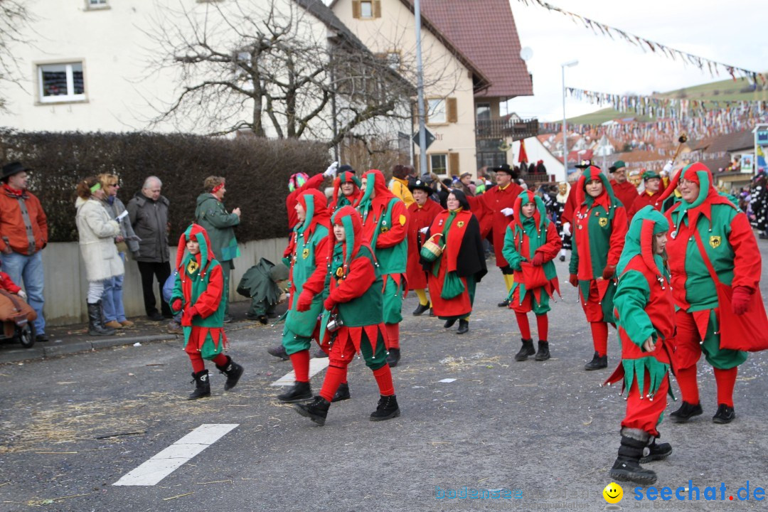 Narrentreffen - NV Kamelia: Tengen am Bodensee, 03.02.2013