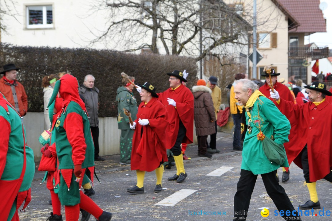 Narrentreffen - NV Kamelia: Tengen am Bodensee, 03.02.2013