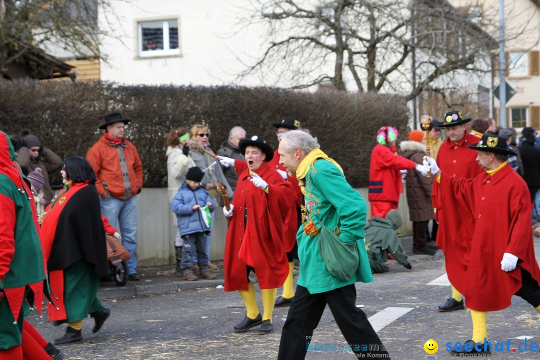 Narrentreffen - NV Kamelia: Tengen am Bodensee, 03.02.2013