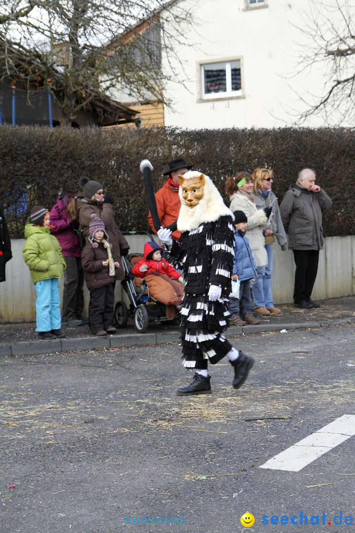 Narrentreffen - NV Kamelia: Tengen am Bodensee, 03.02.2013