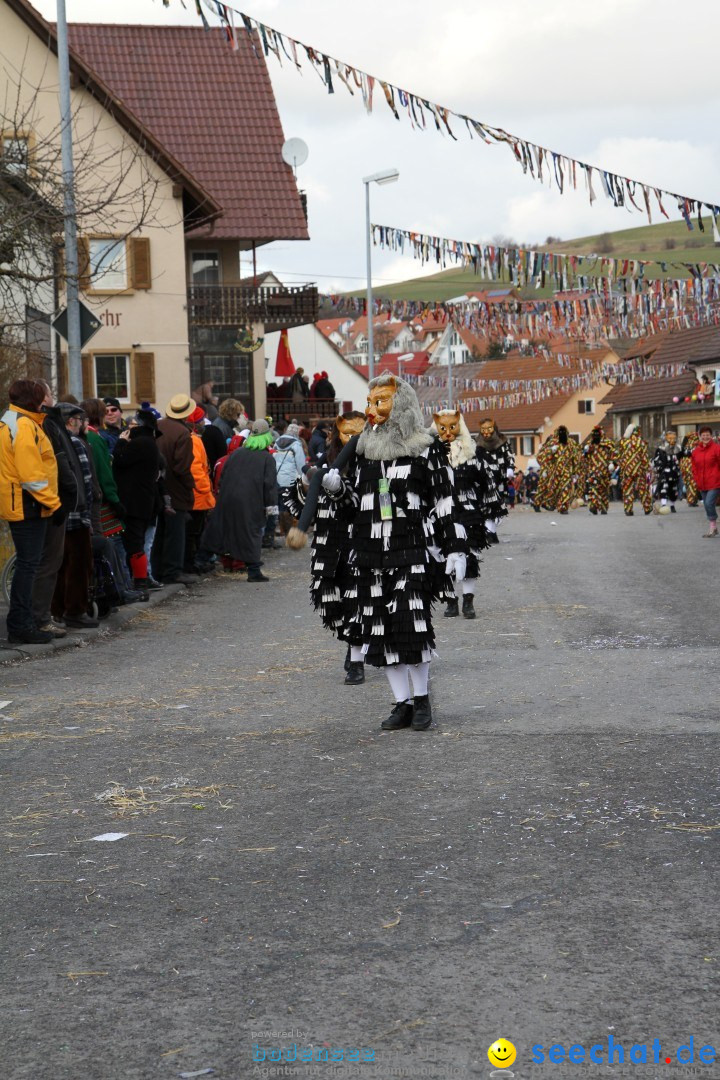 Narrentreffen - NV Kamelia: Tengen am Bodensee, 03.02.2013