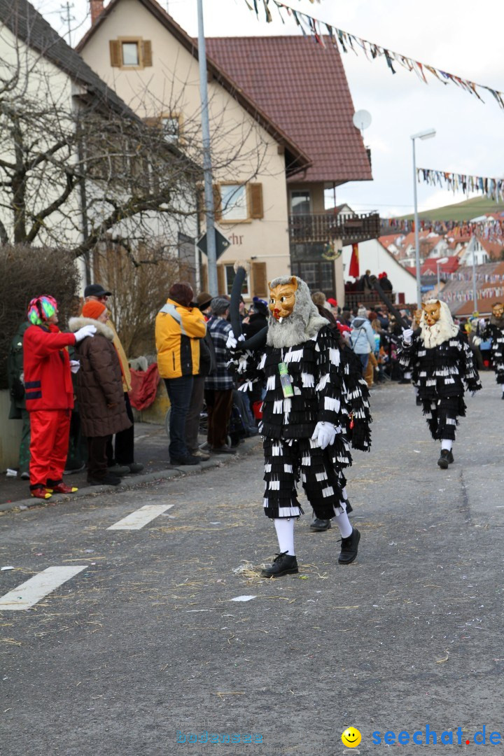 Narrentreffen - NV Kamelia: Tengen am Bodensee, 03.02.2013