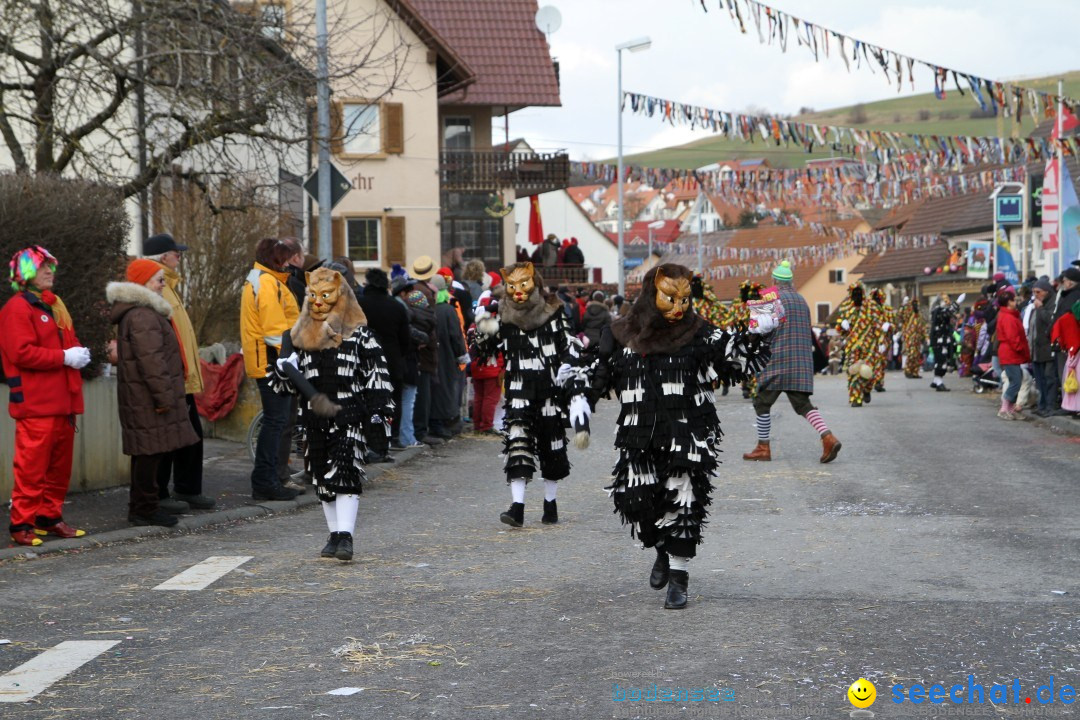 Narrentreffen - NV Kamelia: Tengen am Bodensee, 03.02.2013