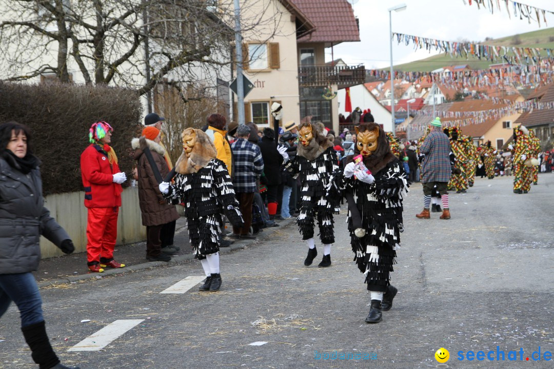 Narrentreffen - NV Kamelia: Tengen am Bodensee, 03.02.2013