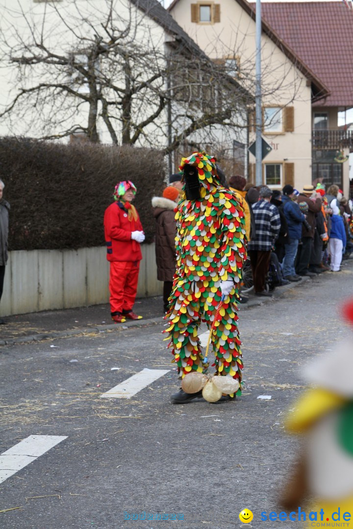 Narrentreffen - NV Kamelia: Tengen am Bodensee, 03.02.2013