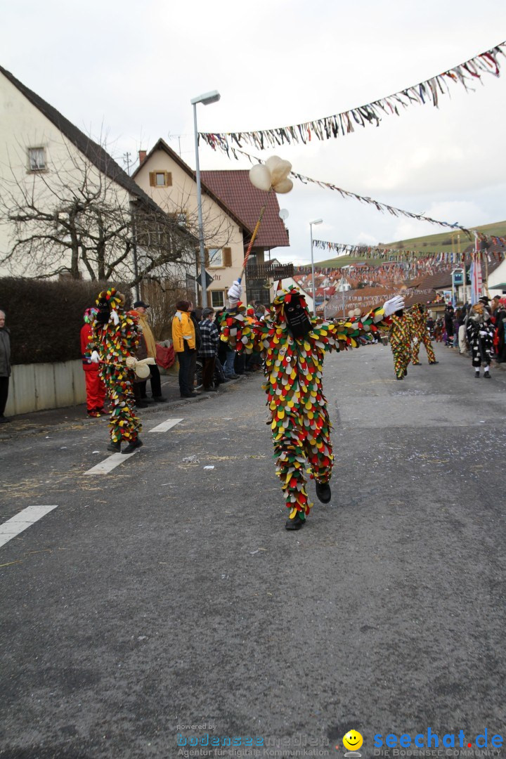 Narrentreffen - NV Kamelia: Tengen am Bodensee, 03.02.2013