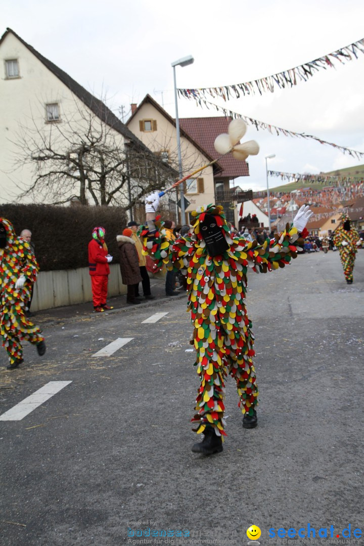 Narrentreffen - NV Kamelia: Tengen am Bodensee, 03.02.2013