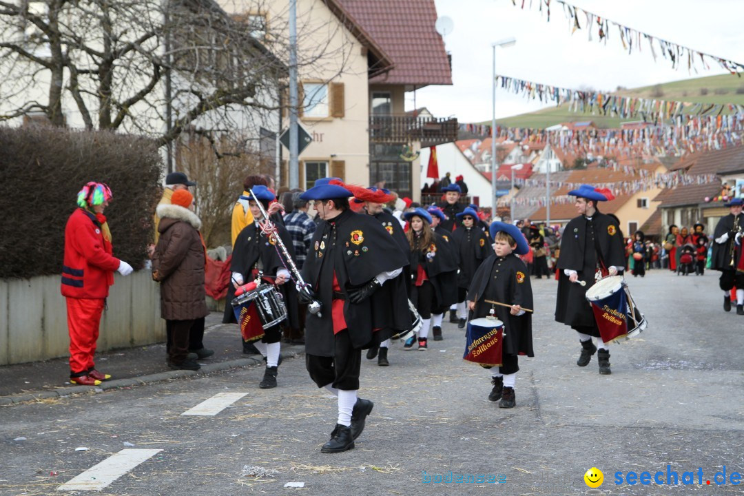 Narrentreffen - NV Kamelia: Tengen am Bodensee, 03.02.2013