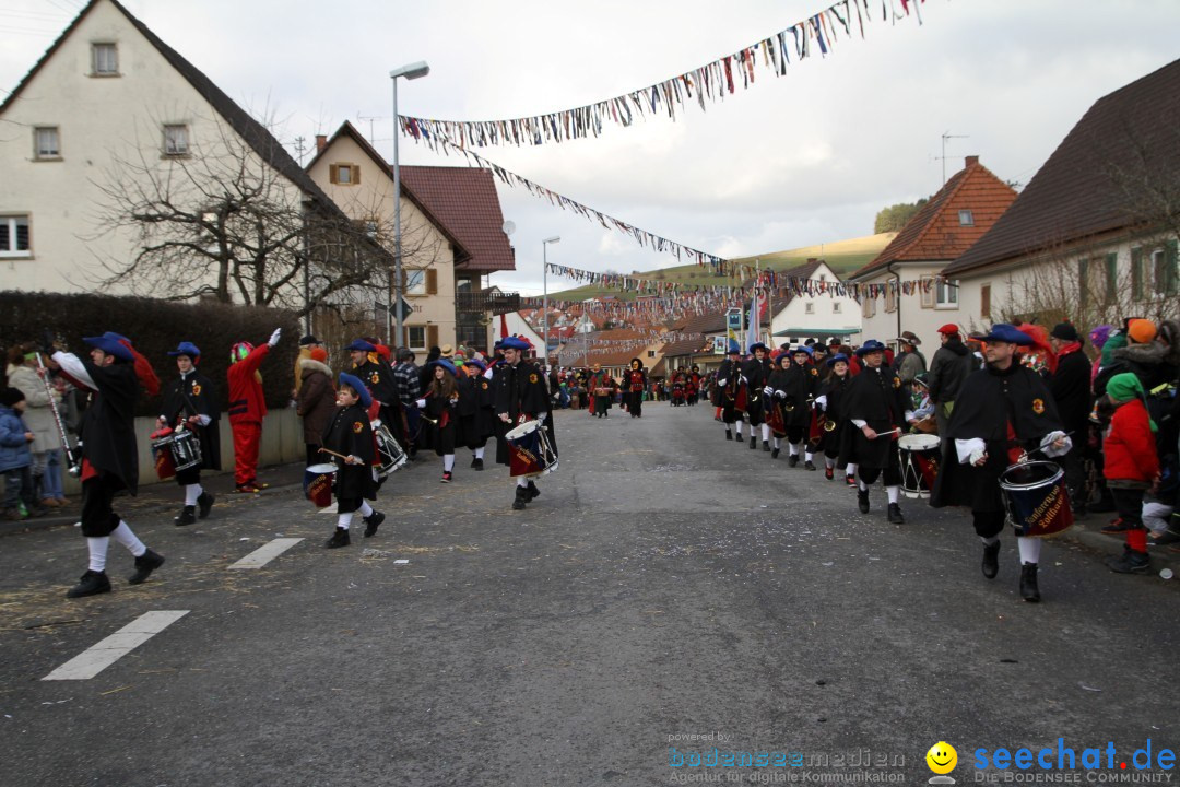 Narrentreffen - NV Kamelia: Tengen am Bodensee, 03.02.2013