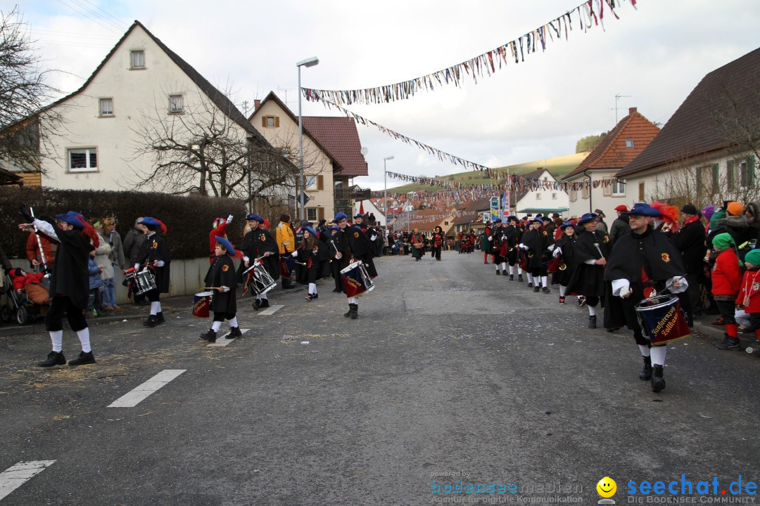 Narrentreffen - NV Kamelia: Tengen am Bodensee, 03.02.2013