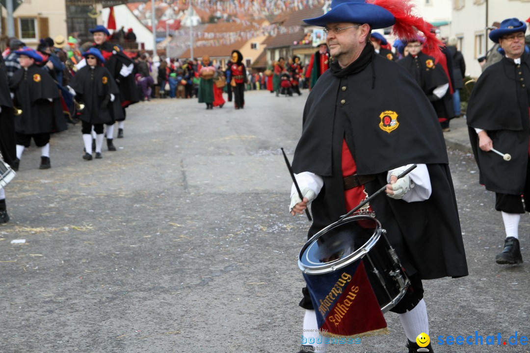 Narrentreffen - NV Kamelia: Tengen am Bodensee, 03.02.2013