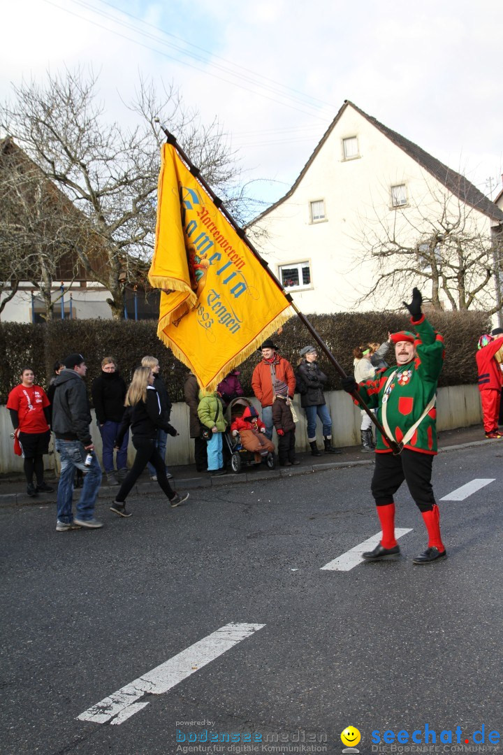 Narrentreffen - NV Kamelia: Tengen am Bodensee, 03.02.2013