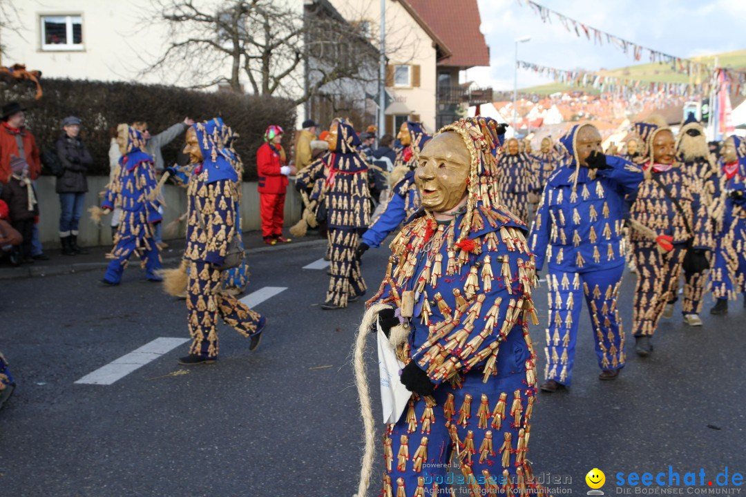 Narrentreffen - NV Kamelia: Tengen am Bodensee, 03.02.2013