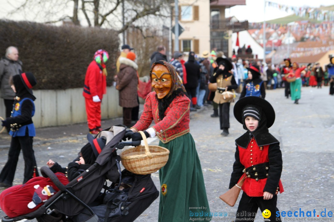 Narrentreffen - NV Kamelia: Tengen am Bodensee, 03.02.2013