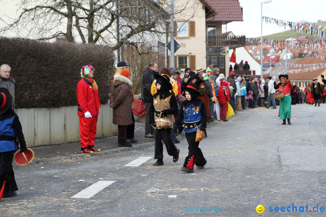 Narrentreffen - NV Kamelia: Tengen am Bodensee, 03.02.2013