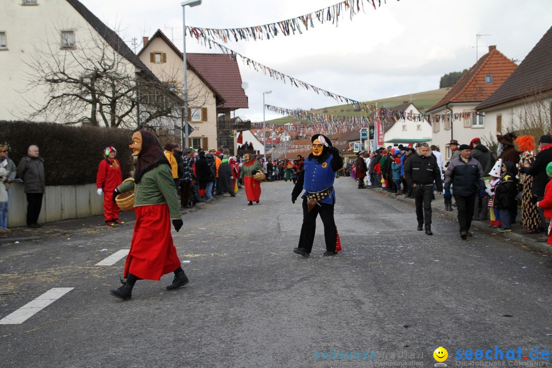 Narrentreffen - NV Kamelia: Tengen am Bodensee, 03.02.2013