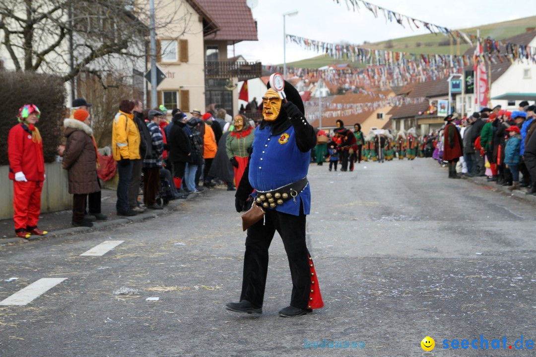 Narrentreffen - NV Kamelia: Tengen am Bodensee, 03.02.2013