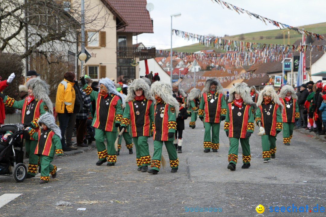 Narrentreffen - NV Kamelia: Tengen am Bodensee, 03.02.2013