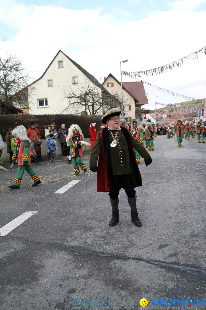 Narrentreffen - NV Kamelia: Tengen am Bodensee, 03.02.2013