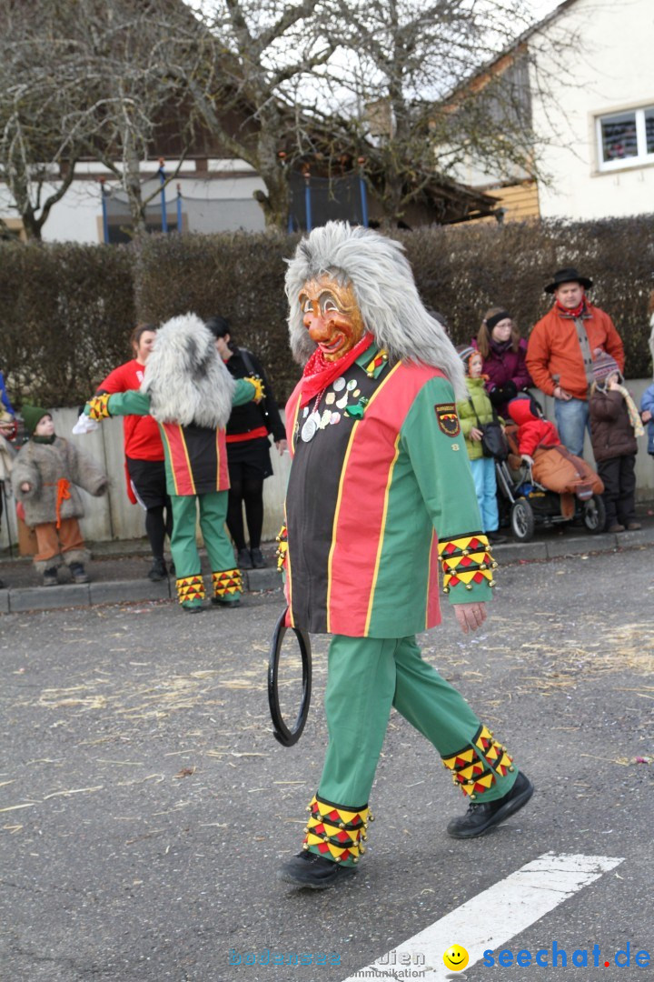 Narrentreffen - NV Kamelia: Tengen am Bodensee, 03.02.2013