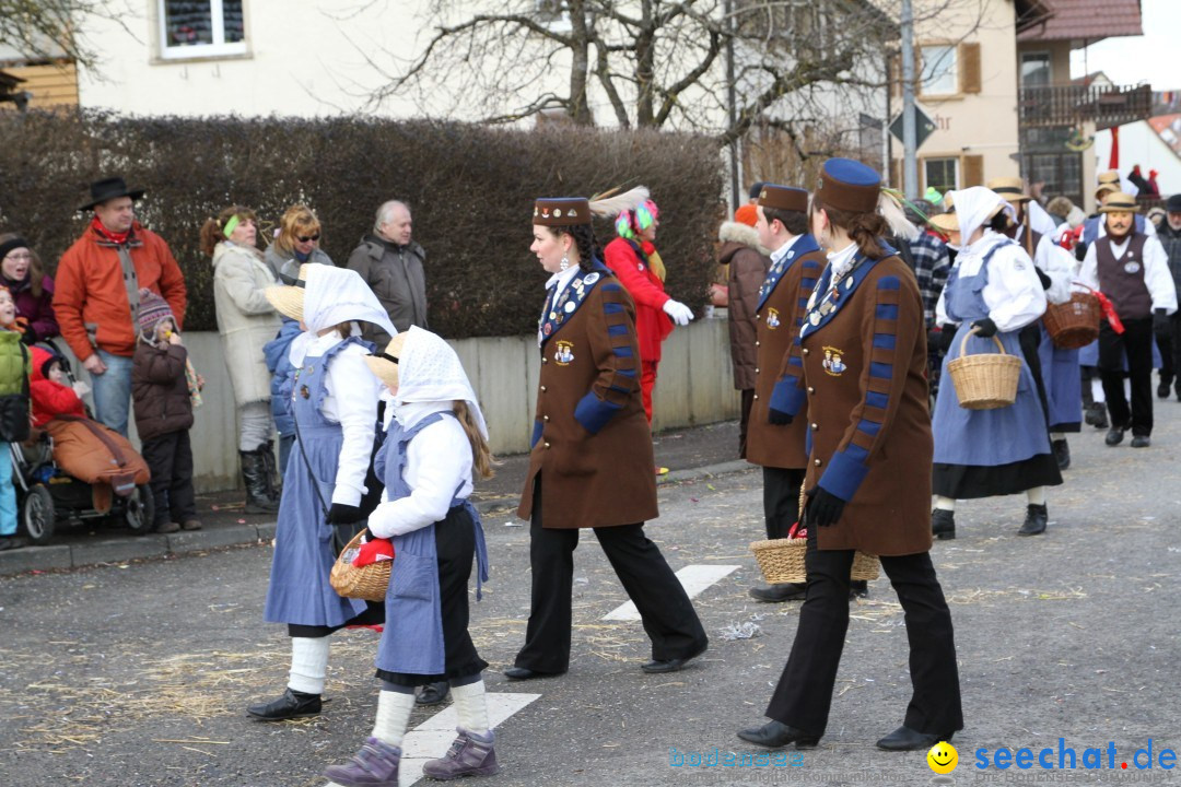 Narrentreffen - NV Kamelia: Tengen am Bodensee, 03.02.2013