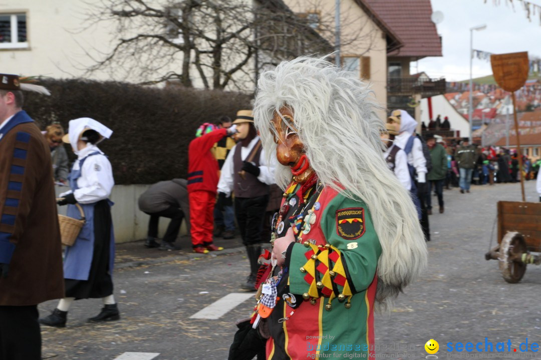 Narrentreffen - NV Kamelia: Tengen am Bodensee, 03.02.2013